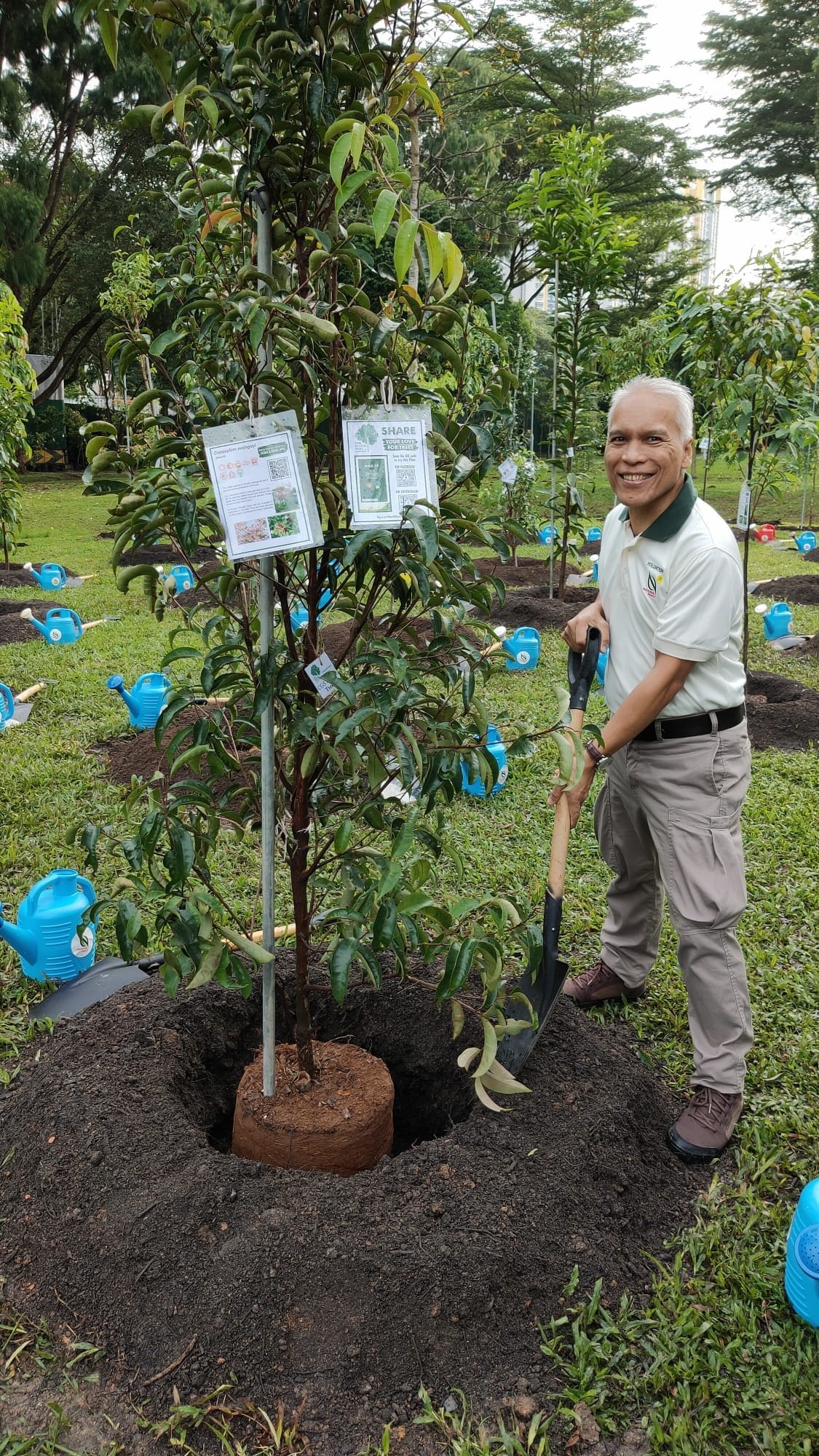 A person is planting a tree in a hole, surrounded by blue watering cans in a green park.